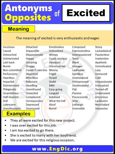 excited antonyms|Antonym of excited .